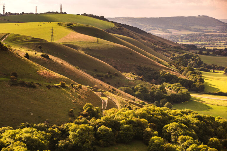 South Downs NP by Sam Moore