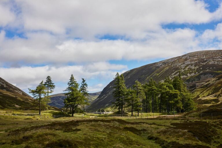 RS34758_LandManagement_©EdSmith-9_lpr
