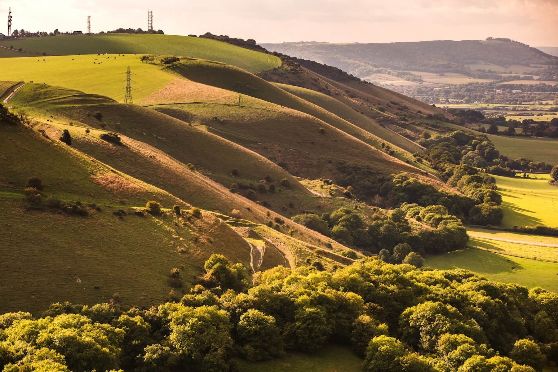 south-downs-np-by-Sam-Moore-give-credit